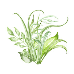 Foliage botanical bouquet hand drawn illustration 