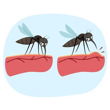 recommend clip art: mosquito bite