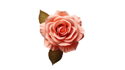 Rose Day isolated on transparent background, Generative ai.