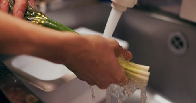 Chef hands, wash spring onion and sink for dirt, virus or bacteria for safety, cooking and meal prep. Person, closeup and cleaning vegetable in water, faucet or kitchen for catering at restaurant job