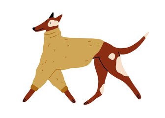 Cute happy dog walking, wearing warm winter sweater, canine animal clothes. Funny doggy running in wool apparel for cold weather. Flat graphic vector illustration isolated on white background