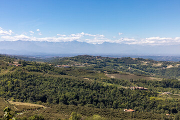 Fototapeta na wymiar View of the Langhe-Roero hills and vineyards in Piedmont with the Alps in the background. Italy