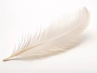 Papier Peint photo Plumes a white feather on a white background