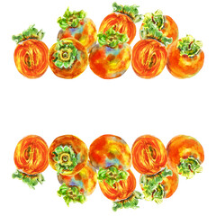 Template of persimmon orange fruit with leaves. Watercolor hand-drawn elements. Isolated on white background. Delicious fruit clip-art illustration. Used on labels, napkins, towels, tableware, package