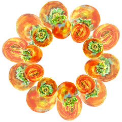 Template of persimmon orange fruit with leaves. Watercolor hand-drawn elements. Isolated on white background. Delicious fruit clip-art illustration. Used on labels, napkins, towels, tableware, package