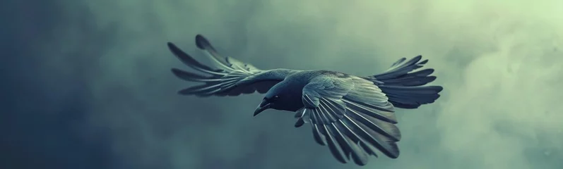 Tragetasche Bird flying. Bird background. Banner © kramynina