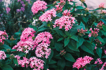 An airport that increases the convenience of access to the western Japan area【Itami Airport】