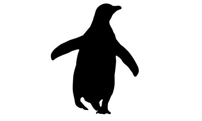 silhouette of a penguin on a white background