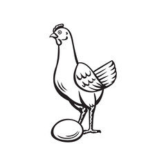 Make a Professional Chicken Vector Outline With Egg