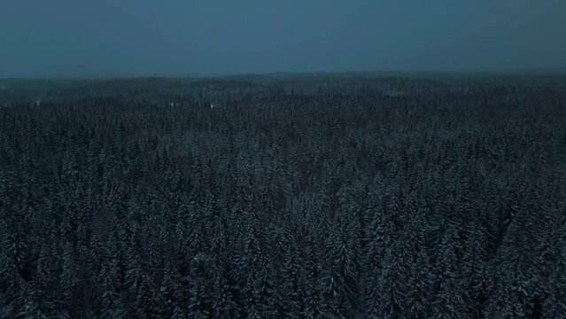 Flying over a dark ominous forest in Lapland wilderness woodlands. Spruce, fir, birch and pine are covered in snow and ice. Darkness, polar night. Contrasty and moody winter landscape in Scandinavia.