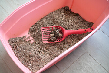 Cat litter box with poop on the scoop