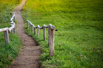 Endless path in green meadow with wooden fence. Thougthful sad scene with shallow depth of field.