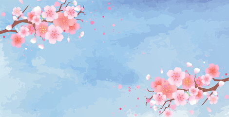 Obraz na płótnie Canvas 春の桜の花びら背景