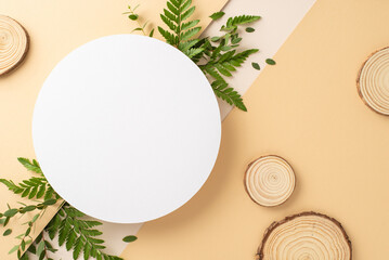 Wild forest nature concept. Top view of empty circle surrounded by fern and eucalyptus branches and foliage with wooden pedestals on two-toned isolated pastel background with copy-space