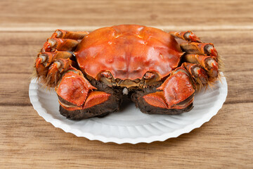 angle view fresh cooked crab at horizontal composition