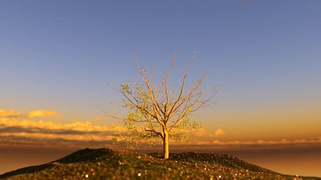 A tree grows on and blooms against the backdrop of a bright sunset sky, 3D render