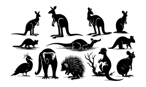 autraillian animals silhouettes or detailed vectors set