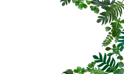 Foto auf Acrylglas Leaves frame from Monstera pinnatipartita (Siam Monstera), Sweetheart Hoya leaves or Valentine Hoya (Hoya kerrii ), Zamioculcas zamiifolia or aroid palm, Zanzibar gem, Philodendron Florida, Xanadu. © Bussaba
