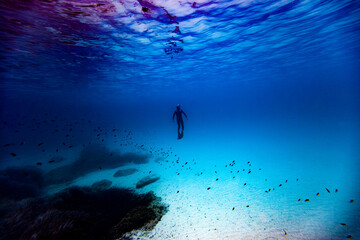 Diving free underwater sport action art posidonia plant seascape mediterranean Minorca