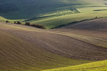 A full frame photograph of an idyllic South Downs landscape on a sunny winter's day