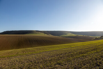 Fototapeta na wymiar Looking out over fields towards Kingston Ridge in the South Downs, with a blue sky overhead