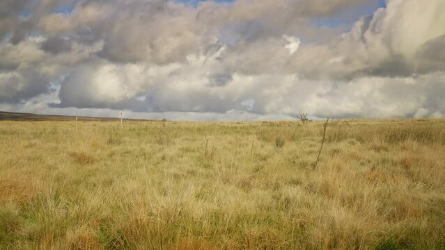Moorland grass landscape scenery 4K stock footage
