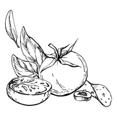 Hand drawn vector ink illustration. Tomato pepperoni olive basil herb leaves fresh products meal. Composition isolated on white. Design for restaurant, menu, cafe, food shop or package, flyer, print.