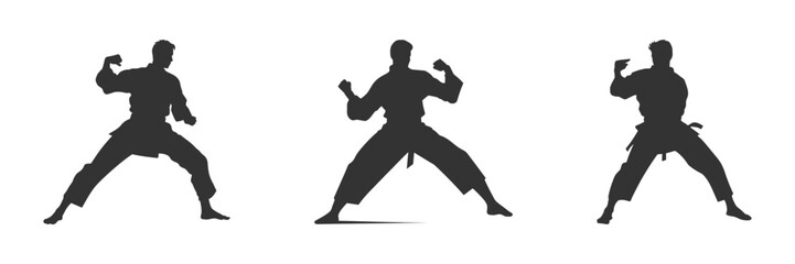 Fototapeta na wymiar Silhouette of karate man prepared for fight. Vector illustration