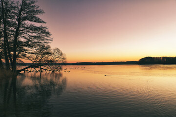 Fototapeta na wymiar See im Abendrot - Sky - Water - Landscape - Background - Colorful - Concept - Sunrise - Sundown - Sunset - Natur