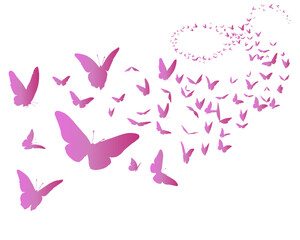 pink gradient butterfly flock  fliying