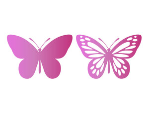 pink gradient butterfly flock  fliying