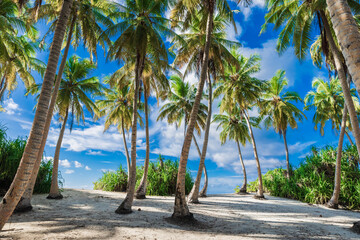 Holiday beach on Maldives island. Tropical banner with palms and sunny blue sky