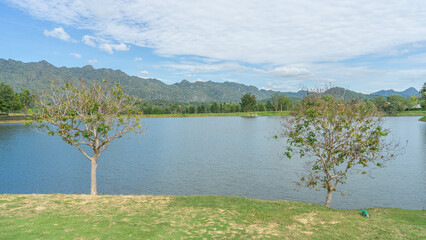 large public park with a wide pond The surface of the water is rough and streaked by the wind. and the surrounding area is natural There are trees that are fully growing. and is fading.