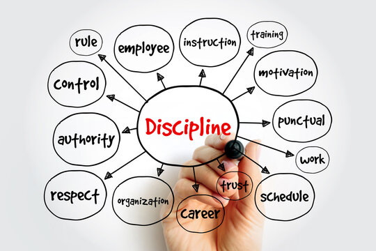 Discipline mind map, business concept for presentations and reports