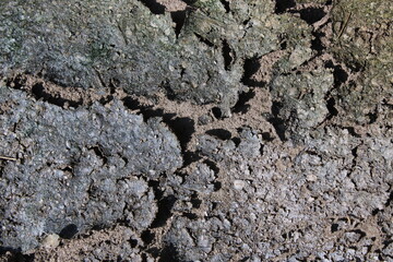 Photos from various things