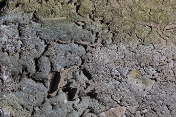 Photos from various things