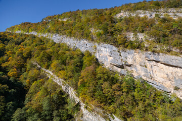 Cut of mountain with autumn trees