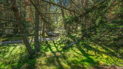 Aiguestortes National Park, Catalonia, Spain, Europe.