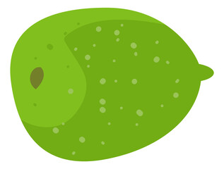 Lime icon. Hand drawn green citrus. Whole fruit