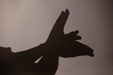 Child hands making bird on the wall, shadoows, game with shadows on wall