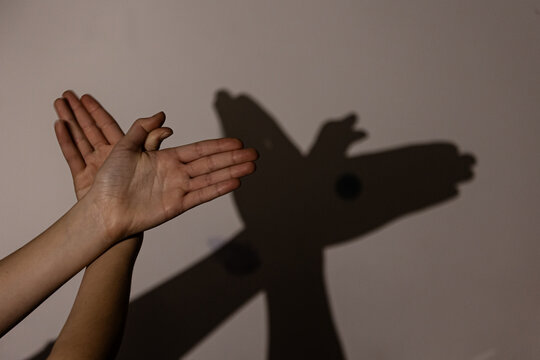 Child hands making bird on the wall, shadoows, game with shadows on wall