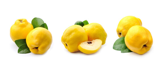 Collage of quince fruits on white backgrounds