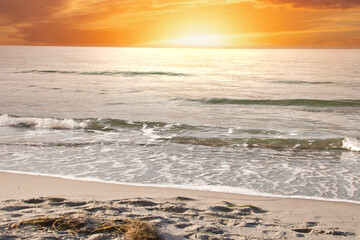 Fototapeta na wymiar On the coast of the Baltic Sea at sunset. Waves roll onto the sandy beach. Nature