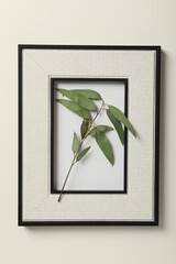 Branch and photo frame on white background, top view