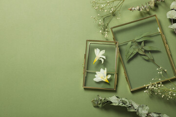 Fototapeta na wymiar Plants and flowers in glass frames on green background, space for text