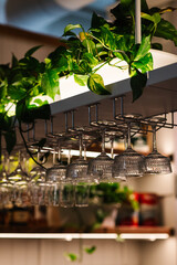 Glasses hang over bar counter. Many glasses hanging from bar rack closeup. The glasses are turned...
