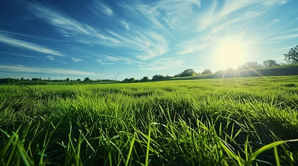 Foto op Canvas A breathtaking view of a neatly trimmed green meadow, the blades of grass reflecting the sunlight, set against a sky of deep blue with wispy clouds, embodying the beauty of summer. © SardarMuhammad