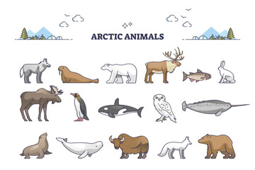 Fototapeta premium Arctic animals collection with cold north environment wildlife outline set, transparent background. Frozen nature habitat for penguins, wolfs, seal, bear, reindeer and seals illustration.