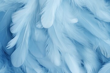Fototapeta na wymiar blue pastel feather abstract background texture