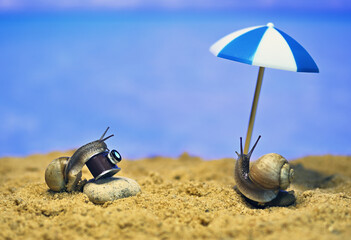 snails on the beach. photo session on the seashore. conceptual macro photo on the theme of vacation